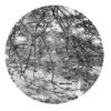 ACTIV-0016_2 Lunar Garden