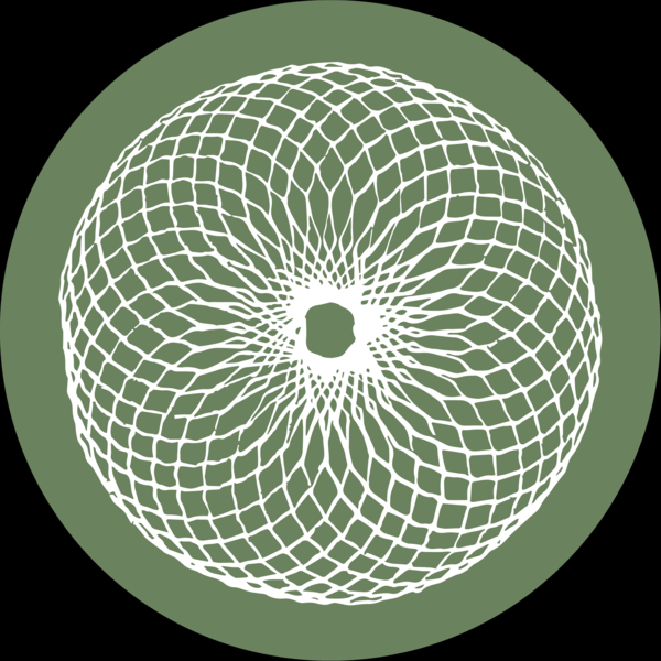 DLEP08_2 Searching EP