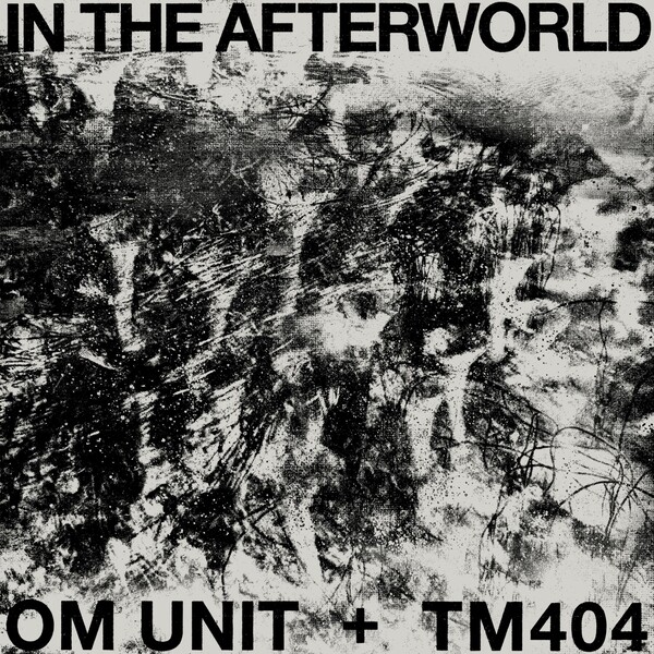 atlp-17_1 In The Afterworld LP