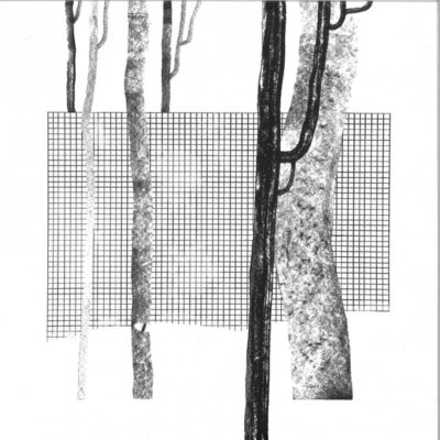 Systema Naturae I