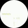 DAHLIA993_2 DAHLIA 993