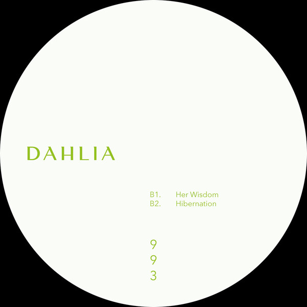 DAHLIA993_2 DAHLIA 993