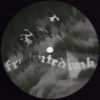 Mystic Firs