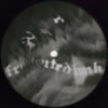 Mystic Firs