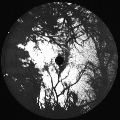 II LP