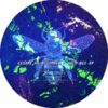 Holy Bee EP