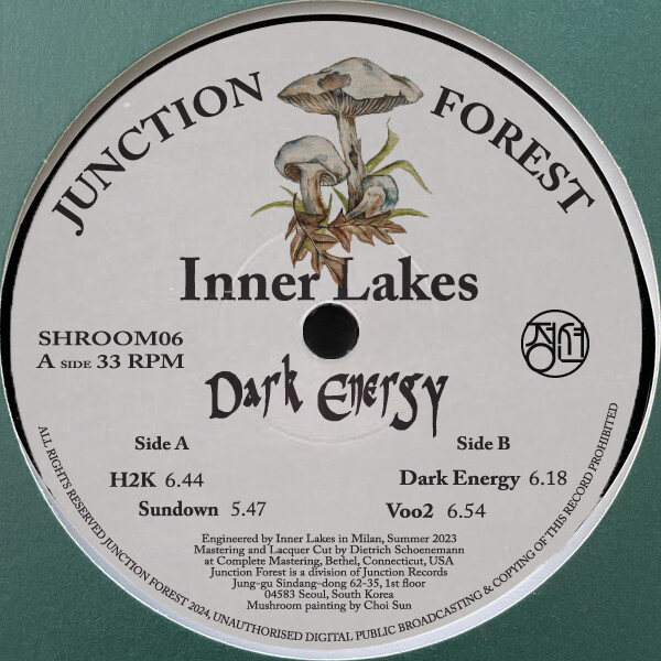 SHROOM006_1 Dark Energy