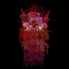 Mycorrhizal Fungi LP