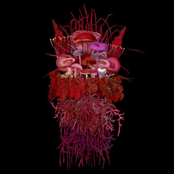 Mycorrhizal Fungi LP