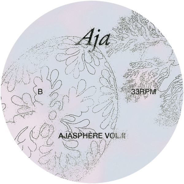 CLE005LP_3 Ajasphère Vol.II