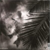 IOT87LP_2 The Fifth Dream