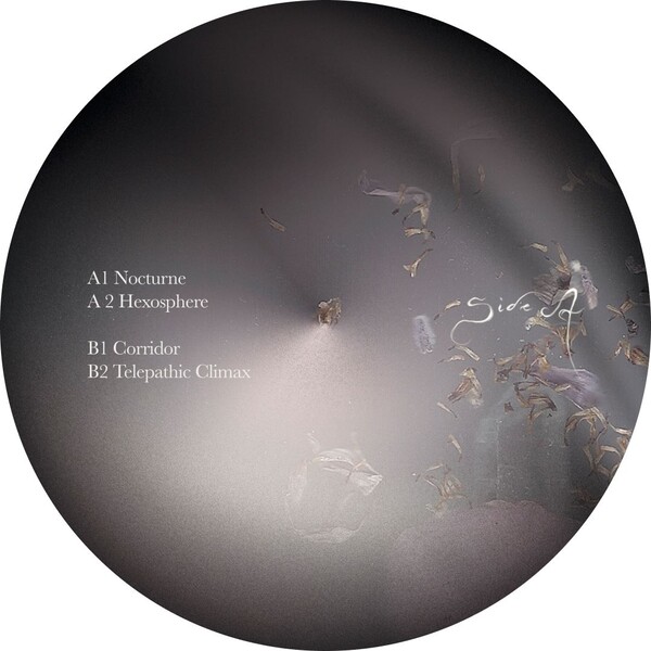 CRU002_3 Nocturne