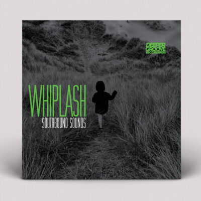 Whiplash Inc