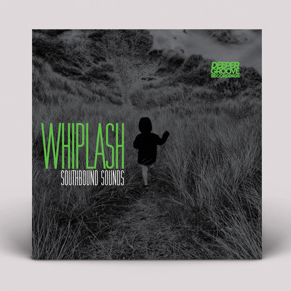 Whiplash Inc