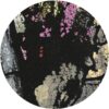 HYPM004_3 Laelaps EP