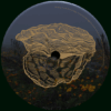OYSTER45_4 myDEFINITION part II LP 2x12"