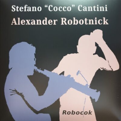 HEM2404 Robocok