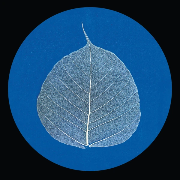 ZON002_2_600 The Bodhi EP