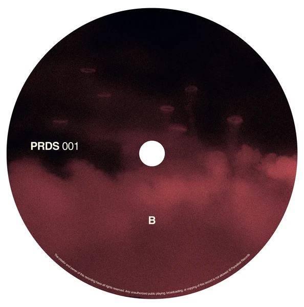 PRDS001_5_600 Lady of rings EP