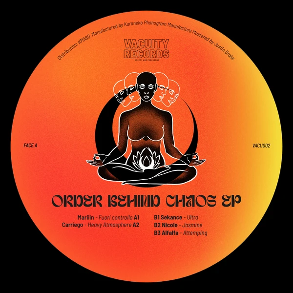 Order Behind Chaos