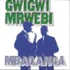Mbaqanga LP