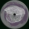 OYSTER63_2_600 Lexica