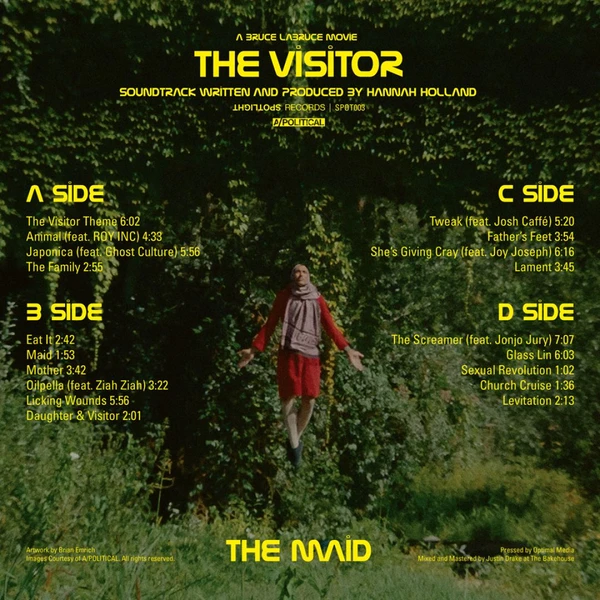 The Visitor
