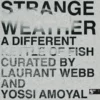 Strange Weather : A Different Kettle Of Fish