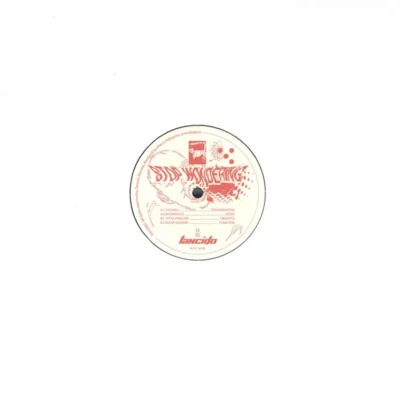 Stop Wondering EP