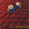 MORNING GLORY