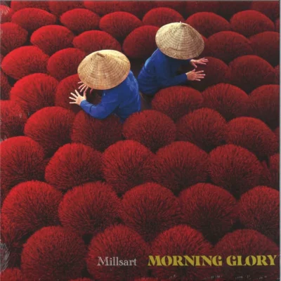 MORNING GLORY