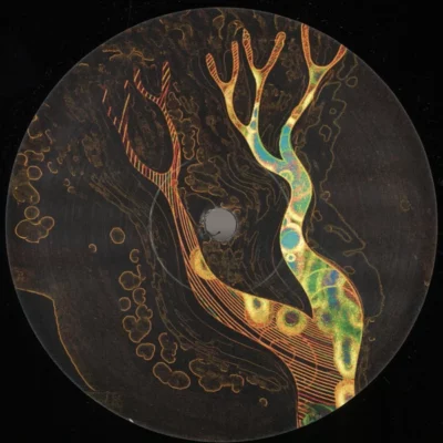 MT20_1_600 Dod yn ôl at fy nghoed Vol.2