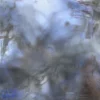 Biome EP
