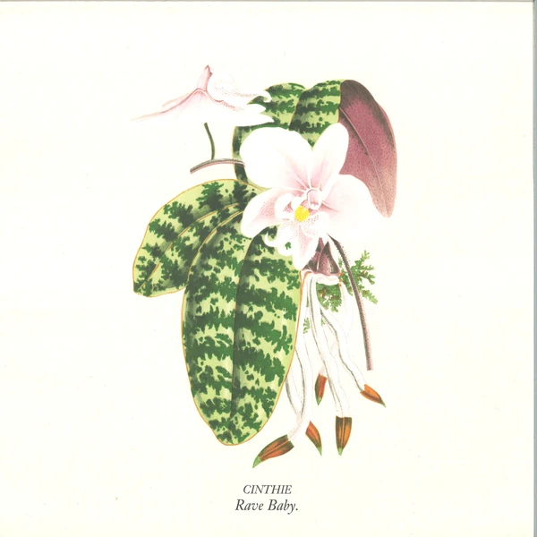 AUS200CPHY_1_600 Rave Baby