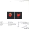 BEC5614294_2_600 BEST OF 1996-2019 LP