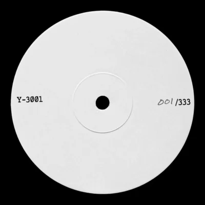 Y-3001