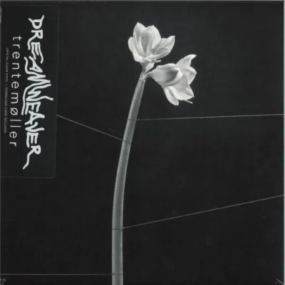 Dreamweaver LP