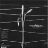 imr52lp_2_600 Dreamweaver LP