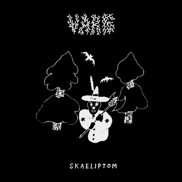 NE101_1_600 Skaeliptom LP
