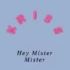 THANKYOU042_1_600 Hey Mister Mister