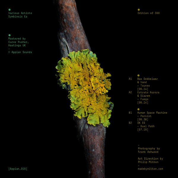 Symbiosis