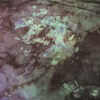Shadows EP