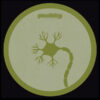 PLAS001_2_600 Neurogenesis EP
