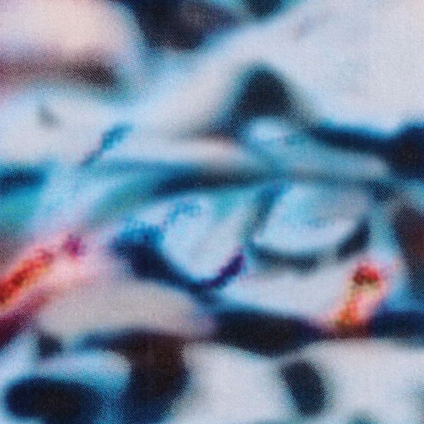 ANIMA16_1_600 Temporal Blend