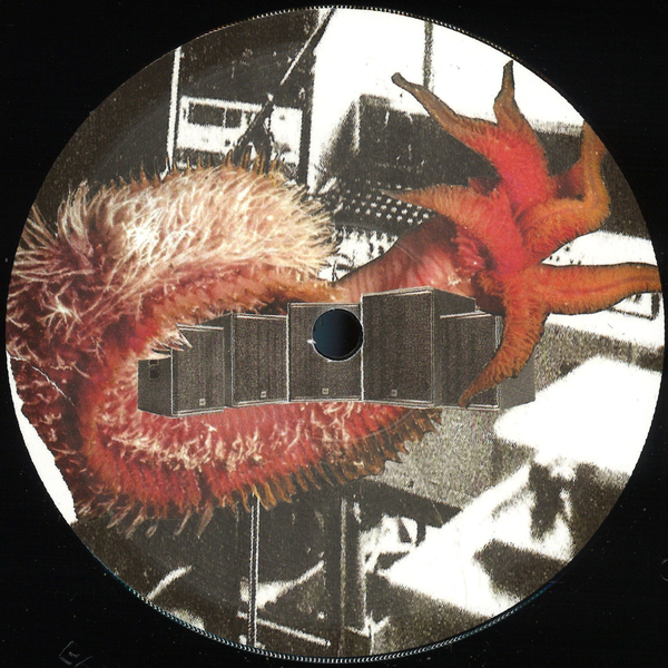 BAIT15_1_600 One Hundred & Fifty Steps (sampler)