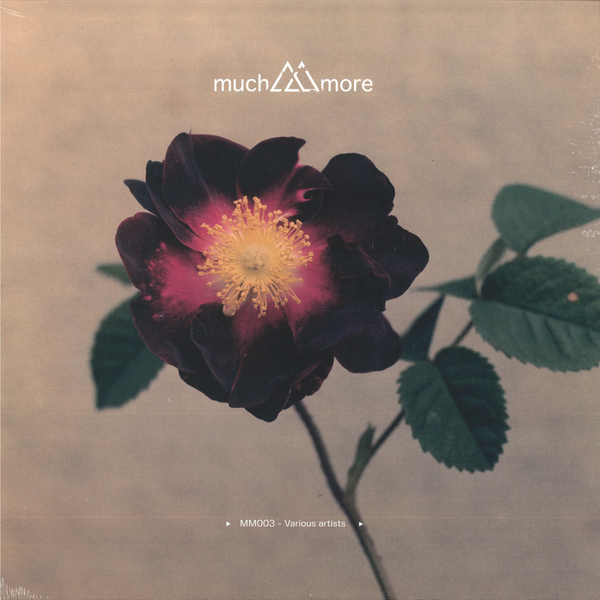 MM-003_1_600 MM003