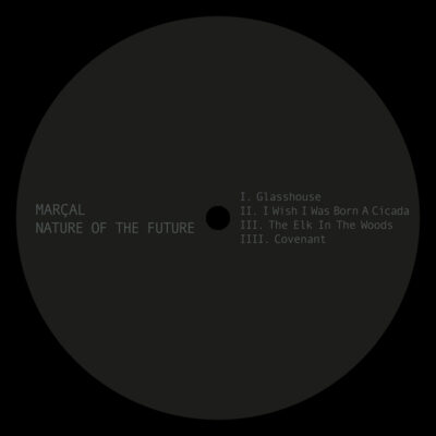 Nature Of The Future