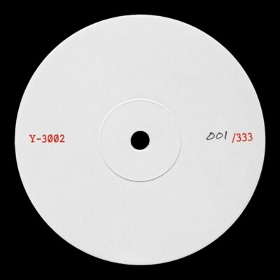Y-3002