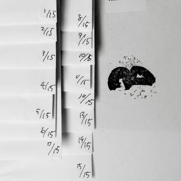 AUA006LTD_2_600 Versions / Flux - Limited Advance Copy + Fridge Magnet