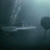 In Search of Echoes
